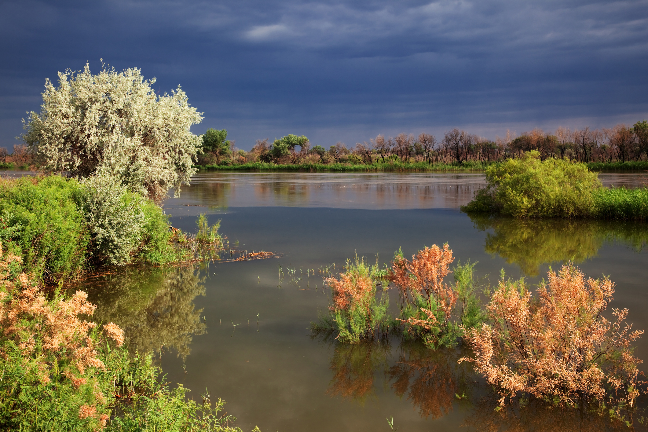 Central Asia background